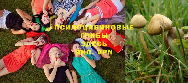марки lsd Арсеньев