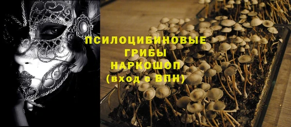 ешки Аркадак