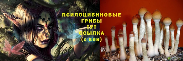 ешки Аркадак
