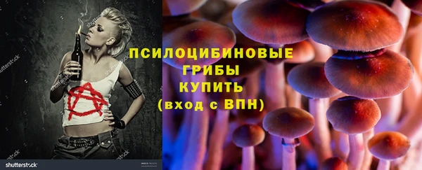 ешки Аркадак